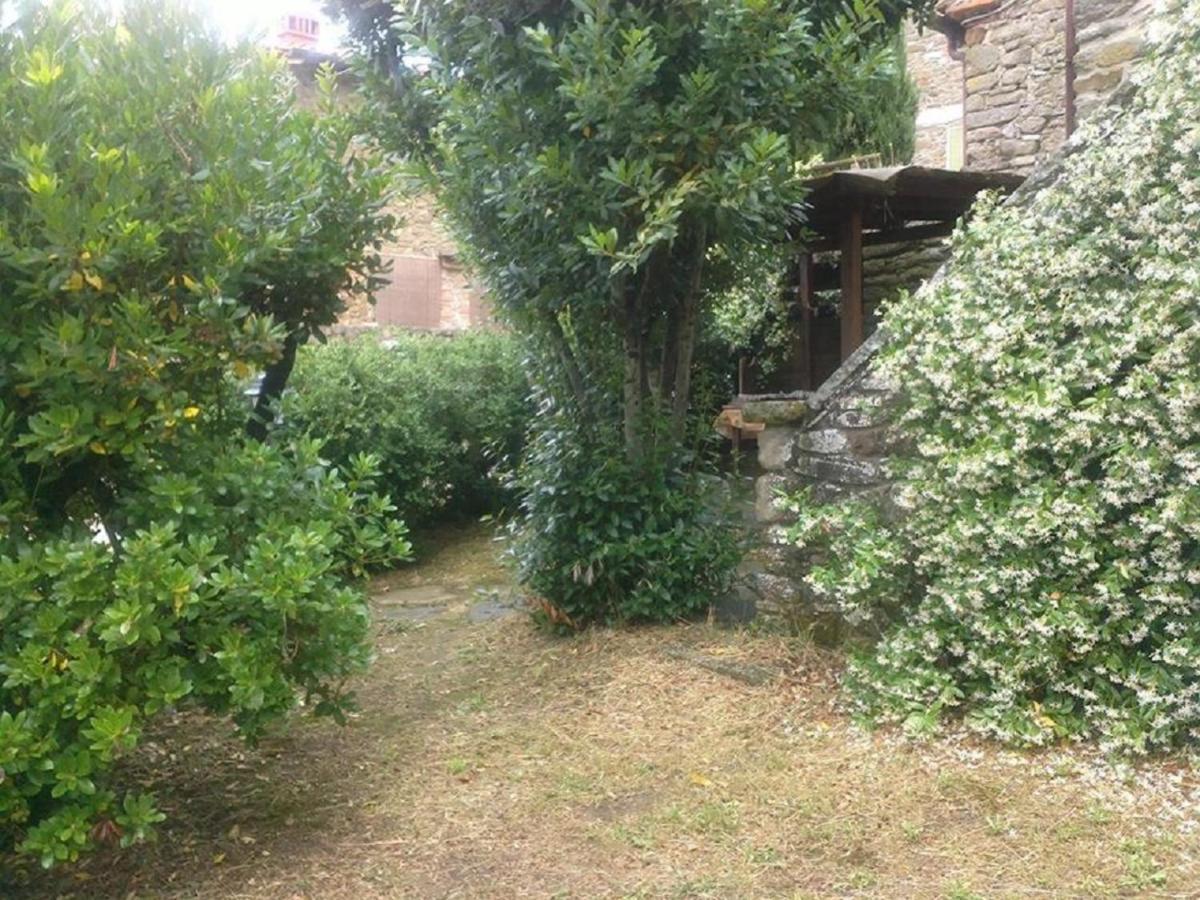 La Cuccia - La Villa-San Pacrazio Ambra 외부 사진